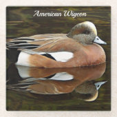 American Widgeon on Pond Wildlife写真 ガラスコースター (正面)