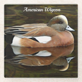 American Widgeon on Pond Wildlife写真 ガラスコースター