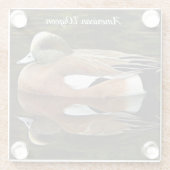 American Widgeon on Pond Wildlife写真 ガラスコースター (裏面)