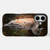 American Wigeon on Pond Wildlife写真 Case-Mate iPhoneケース (裏面 (横))