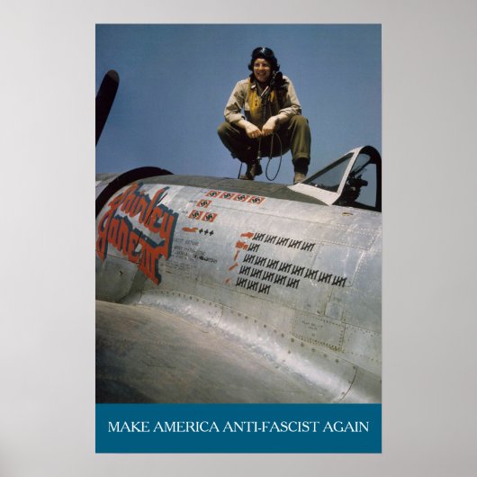 American WWII Pilot MAAFA ポスター (正面)