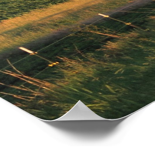 Americana Farm & Barnsの写真 ポスター (角)