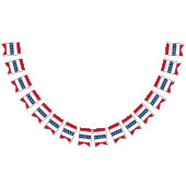 Americana Patriotic Stars & Stripes Celebration バンティングフラッグ (全)