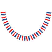 Americana Red White Blue Stars & Stripes バンティングフラッグ (全)