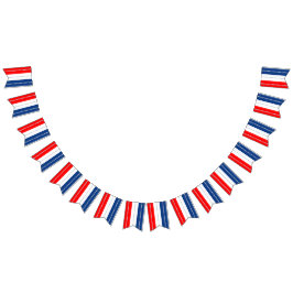 Americana Red White Blue Stars & Stripes  バンティングフラッグ