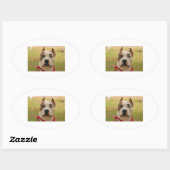 AmericanStaffapshireTerrier 2.png 楕円形シール (シート)