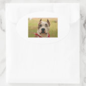 AmericanStaffapshireTerrier 2.png 楕円形シール (バッグ)