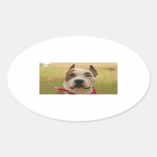 AmericanStaffapshireTerrier 2.png 楕円形シール
