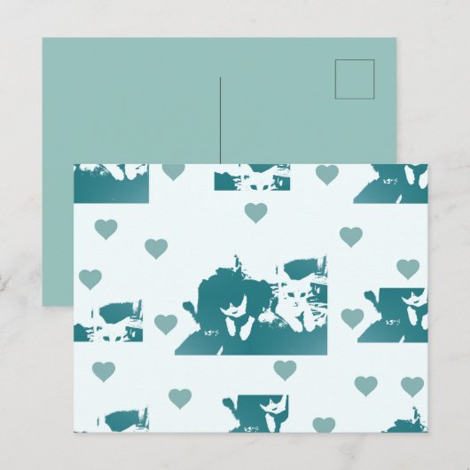 Amigos Felinos. ポストカード (正面/裏面)