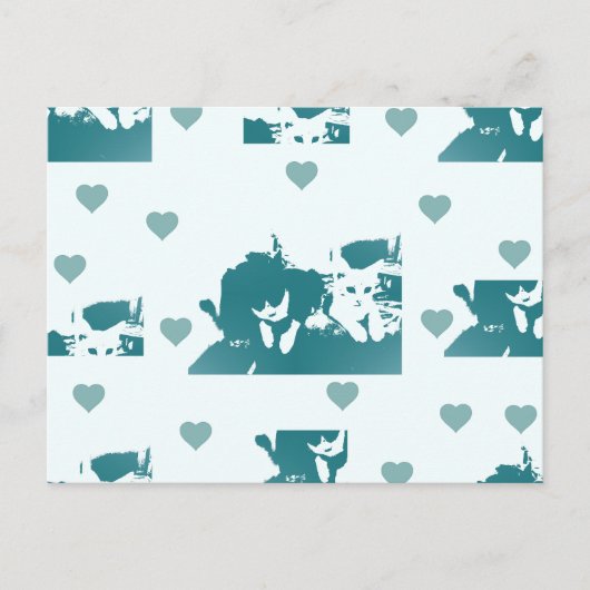 Amigos Felinos. ポストカード (正面)