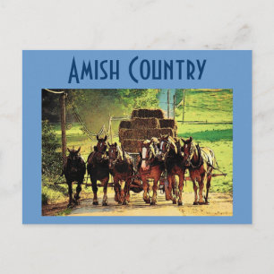 Amish Countryはがき – カスタマイズ ポストカード