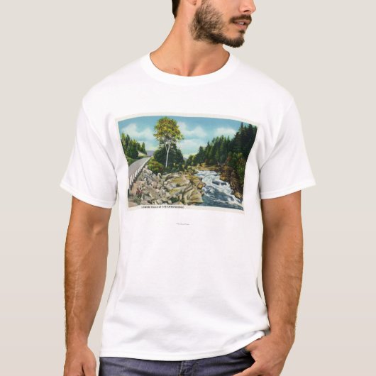 Ammonoosucの川のより低い滝の眺め Tシャツ (正面)
