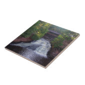 Amnicon秋タイル タイル (側面)