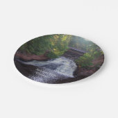 Amnicon秋紙プレート ペーパープレート (アングル)