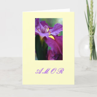 "Amor " シーズンカード