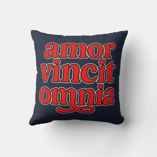 Amor vincit omnia クッション (裏面)