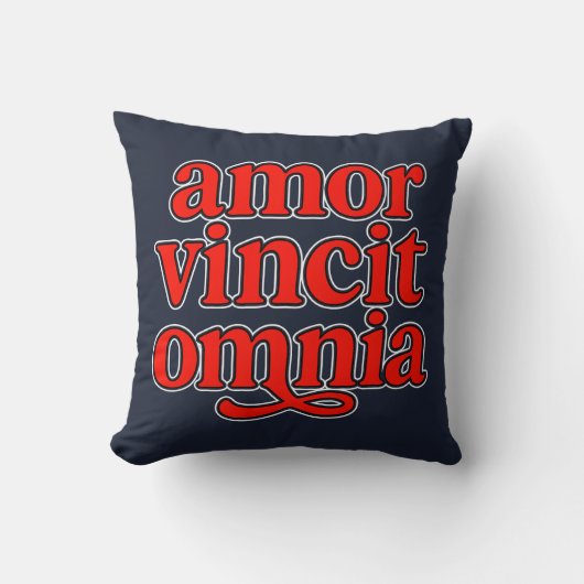 Amor vincit omnia クッション (正面)