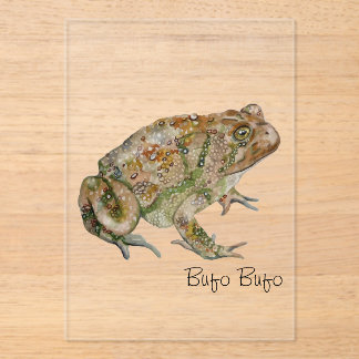 Amphibians, Reptiles & Insects Watercolor アクリル招待状
