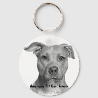 AMPTキーチェーン キーホルダー