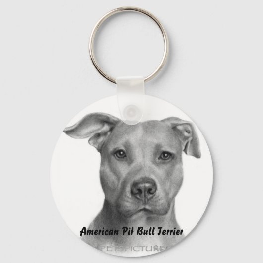 AMPTキーチェーン キーホルダー (正面)