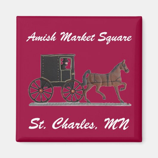 AMS マグネット (正面)