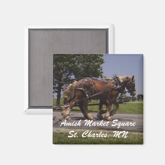 AMS マグネット (正面/裏面)