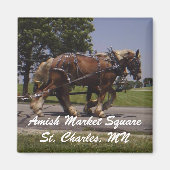 AMS マグネット (正面)