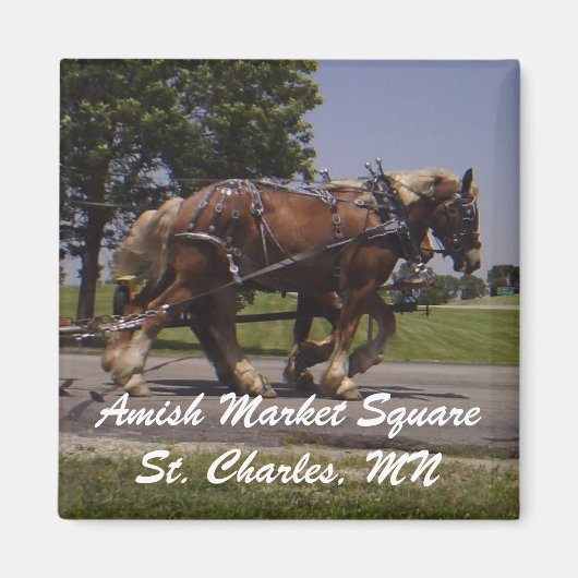 AMS マグネット (正面)