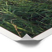 Amsterdam - De 1100 Roe Windmill ポスター (角)