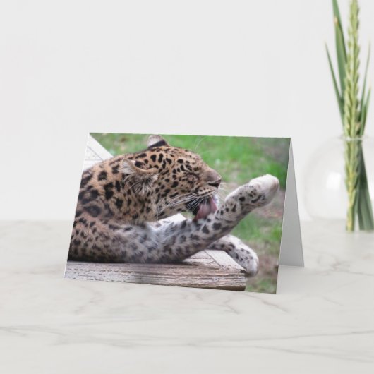 Amur Leopard Greeting Card カード (正面)