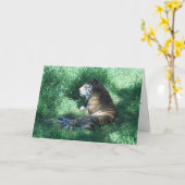 Amur Tigerお祝いカード カード (黄色い花)