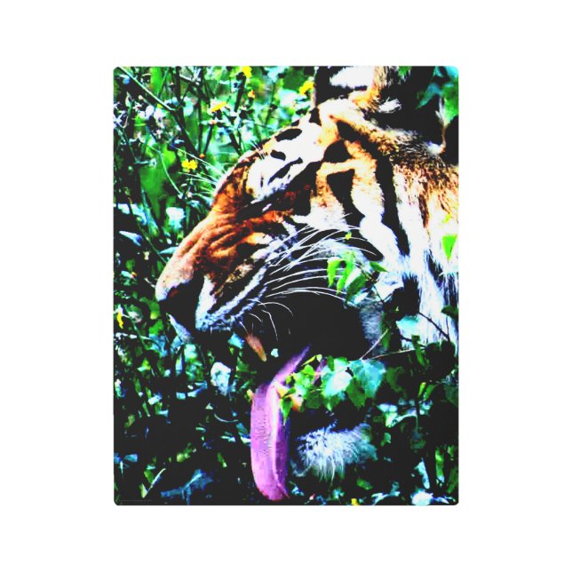 Amur Tiger 11x14 (27.5x35cm)ワメnm メタルプリント (正面)