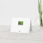 Amur Tigersグリーティングカード カード (裏面)