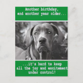 Amusing Customized Dog Photo Birthday Card ポストカード (正面)