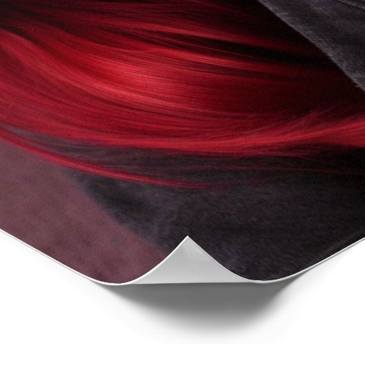 Amy Rosen Poster ポスター (角)