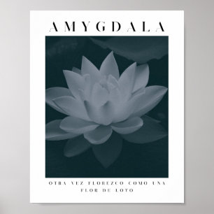 AMYGDALA - LOTUS FLOWER,グレーパレット,ヴィンテージ ポスター