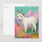 An Adorable White Donkey ポストカード (正面/裏面)
