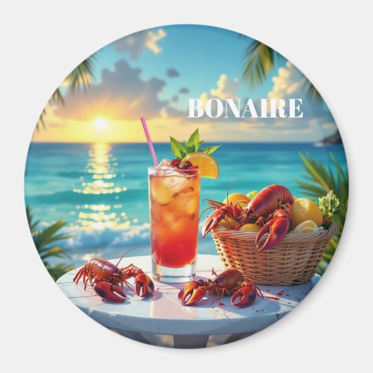 An afternoon in bonaire マグネット (正面)