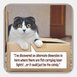 An alternate dimension スクエアシール