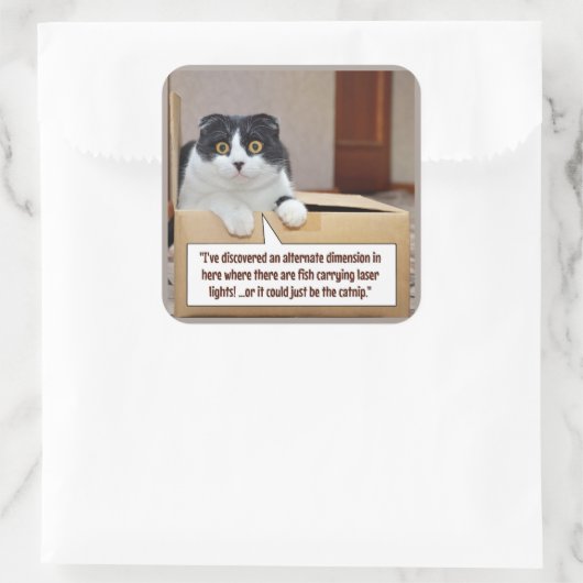 An alternate dimension スクエアシール (バッグ)