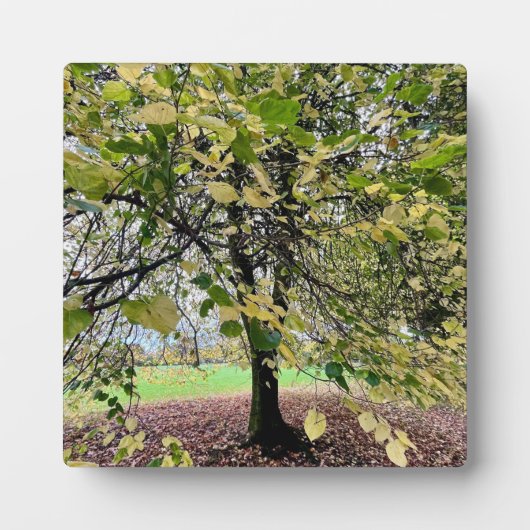 An autumn walk フォトプラーク (正面)