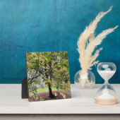 An autumn walk フォトプラーク (インサイチュ)