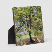 An autumn walk フォトプラーク (正面)