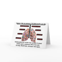 An Average of 20,000 Breaths Per Day