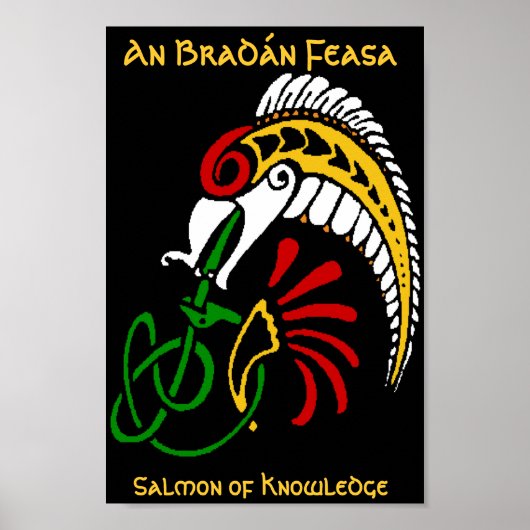 An BradHonyN Feasa – 知識のサーモン ポスター (正面)