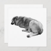 An Easy Place to Be 招待状 (正面/裏面)