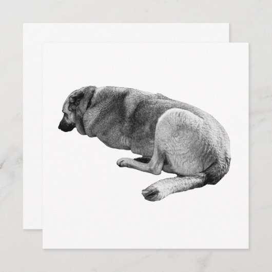 An Easy Place to Be 招待状 (正面/裏面)