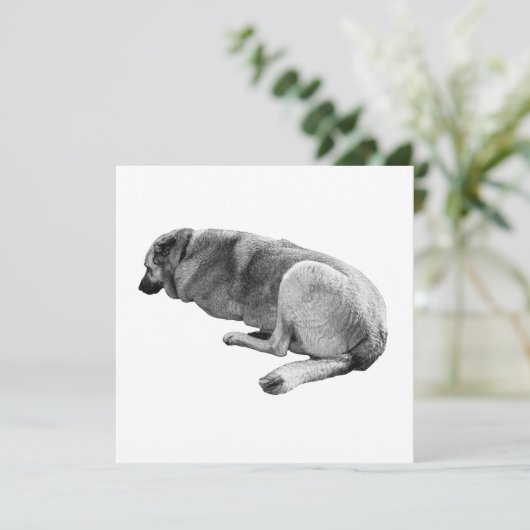 An Easy Place to Be 招待状 (スタンド正面)