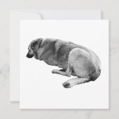 An Easy Place to Be 招待状 (正面)