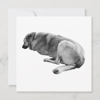 An Easy Place to Be 招待状